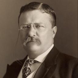 Theodore Roosevelt