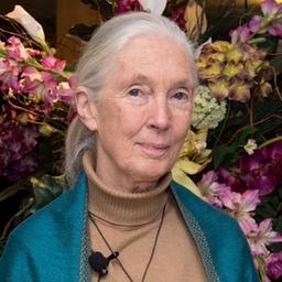 Jane Goodall