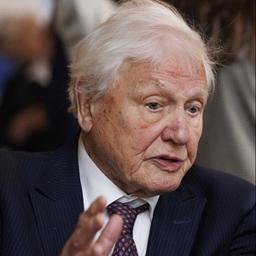David Attenborough